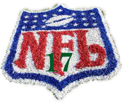week 17 2010 what nfl teams are playing for? 